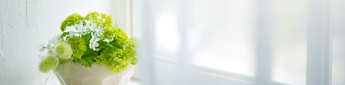 くらいほったらかしでも大丈夫!初心者向けの育てやすい観葉植物4選