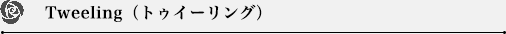 Tweeling（トゥイーリング）