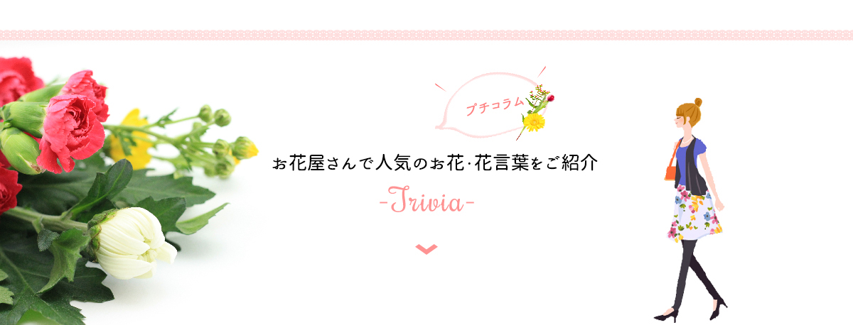 お花屋さんで人気のお花・花言葉をご紹介
