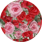 花01