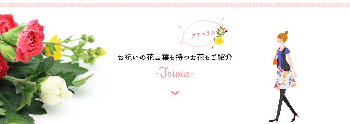 お祝いの花言葉を持つお花をご紹介