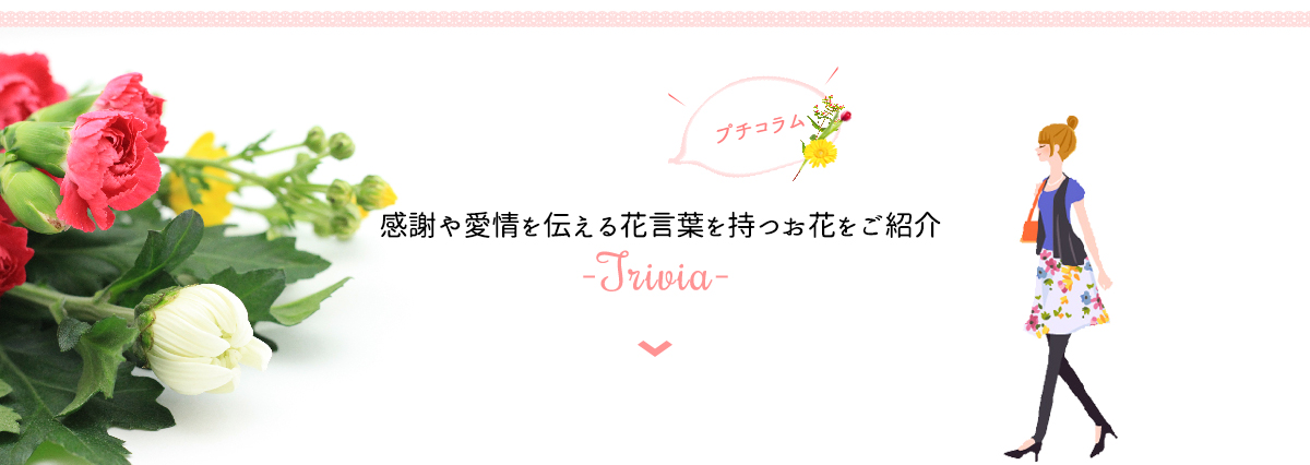 感謝や愛情を伝える花言葉を持つお花をご紹介