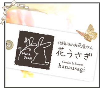 花うさぎ外観