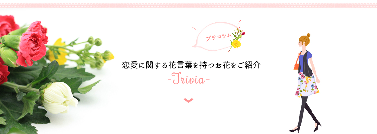 恋愛に関する花言葉を持つお花をご紹介